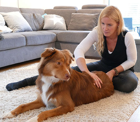 Hundephysiotherapie